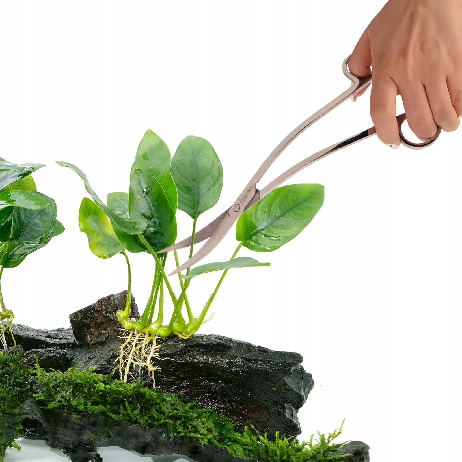 NOŻYCE AKWARIOWE FALA 25CM ZE STALI NIERDZEWNEJ DO PRZYCINANIA ROŚLIN