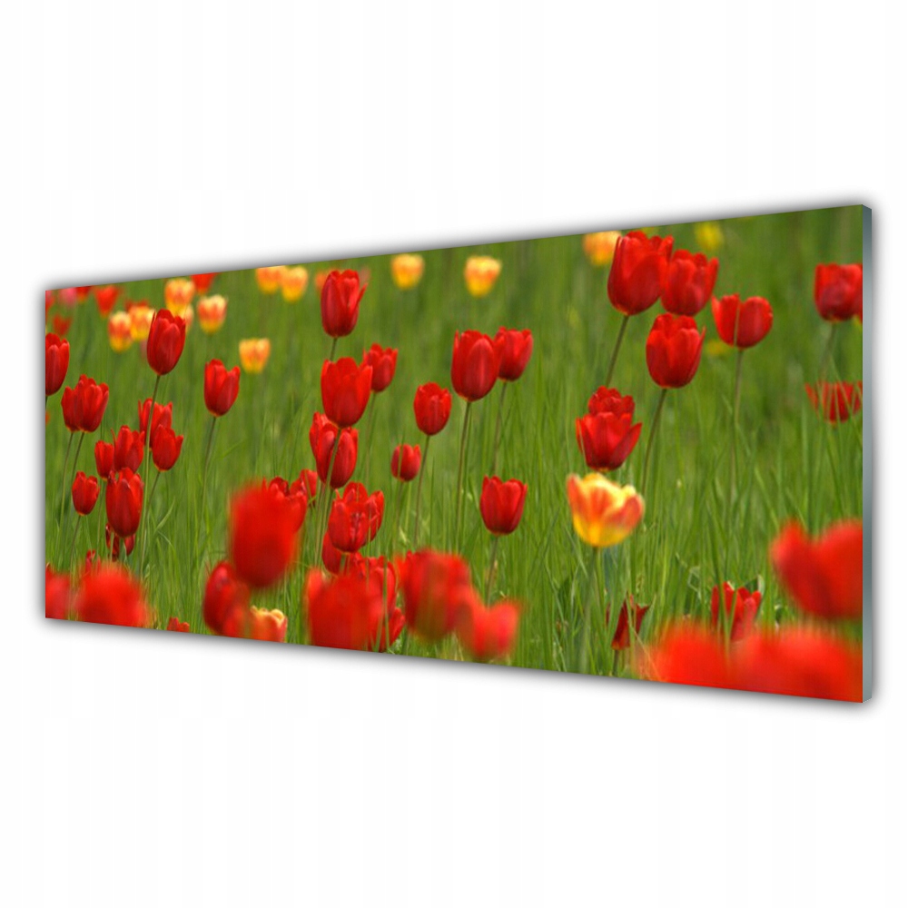 Moderní obraz s grafikou 125x50 Tulipány Rostlina