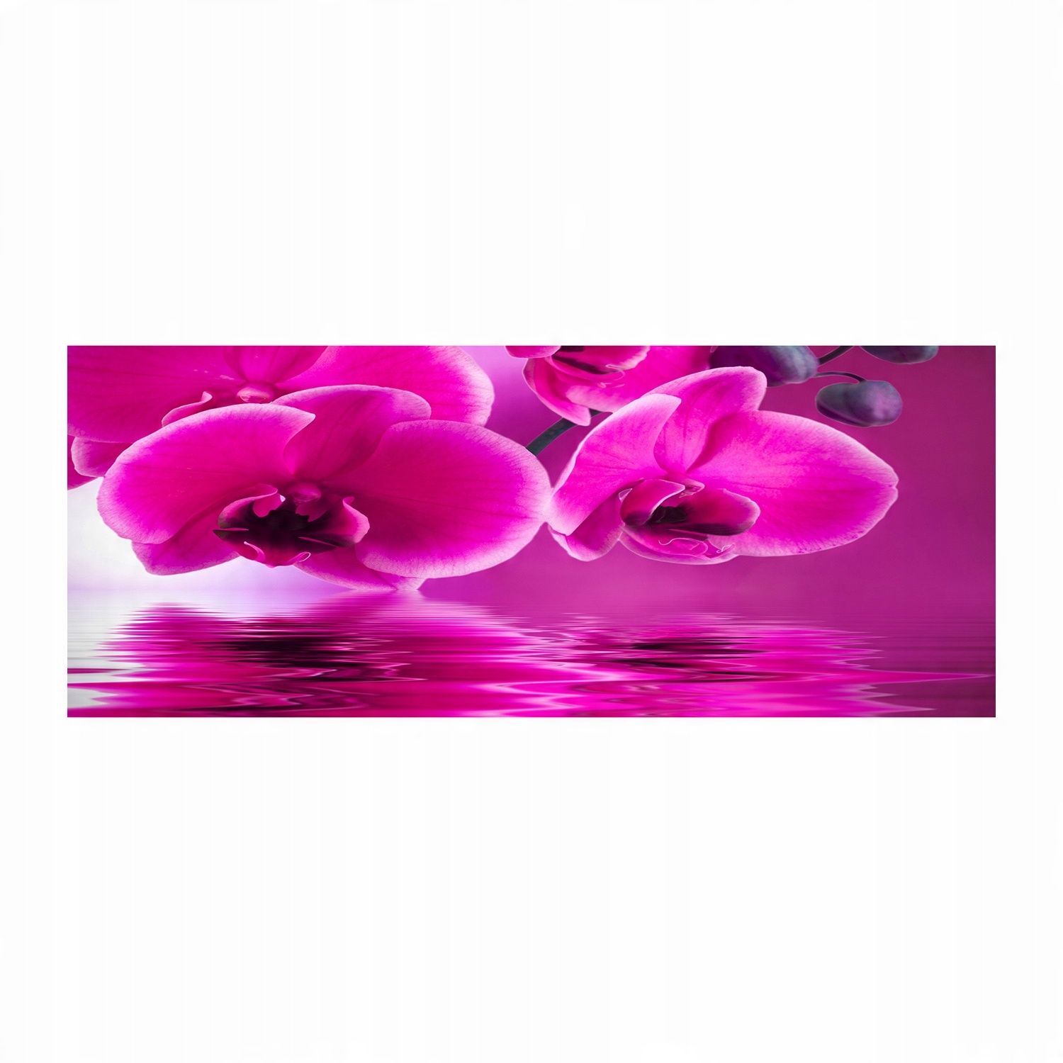 

Foto obraz duży akryl nowoczesny Orchidea 125x50cm