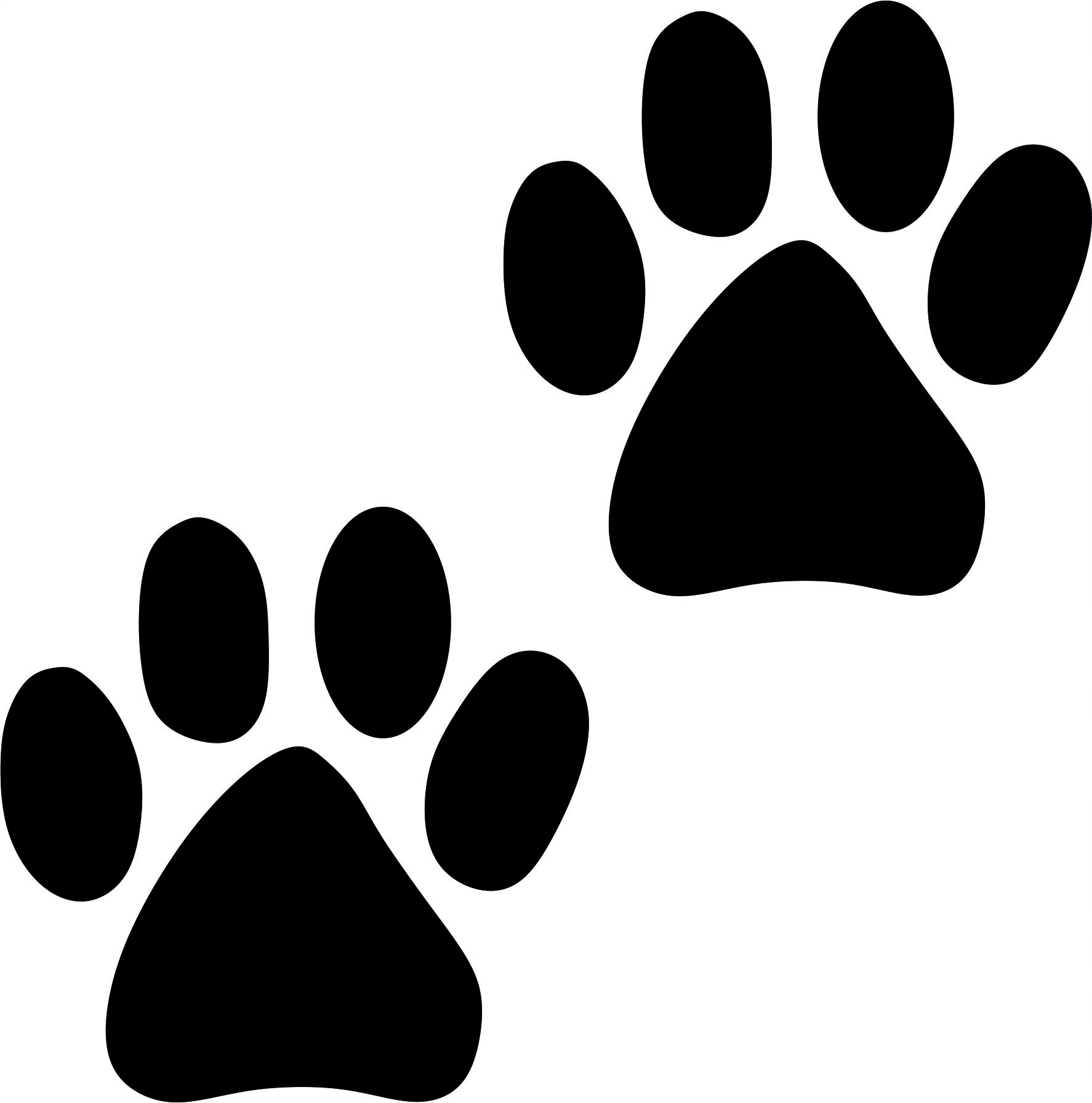 

Naklejki Łapki Ślady 2 szt 20 cm ! łapy