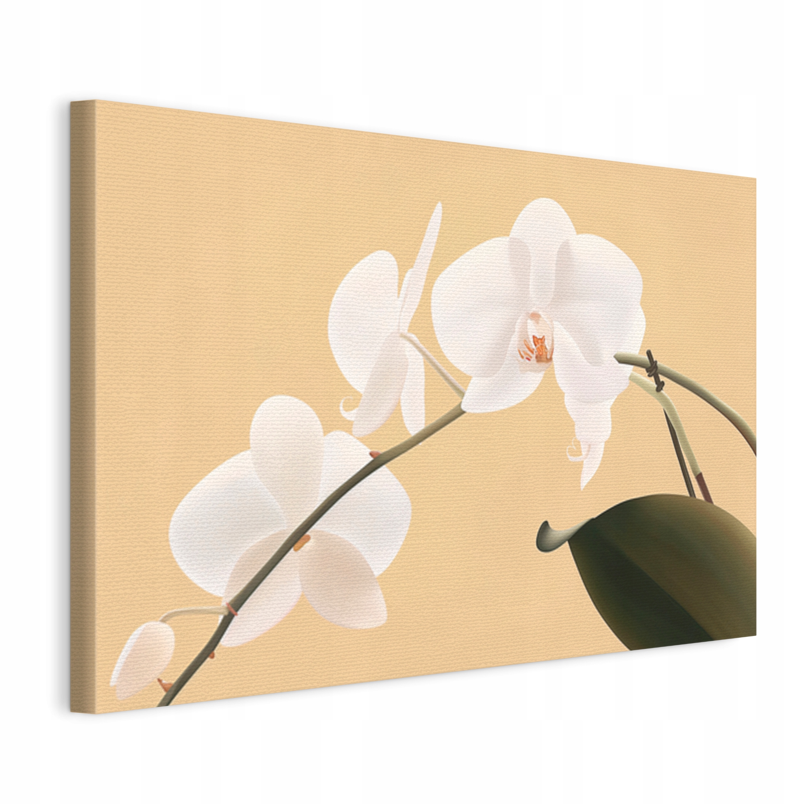 Obraz na plátně Bílé Orchideje Žluté pozadí canvas 120x80