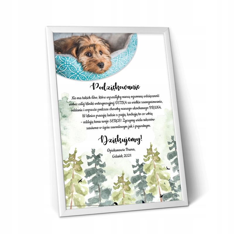 

Plakat podziękowanie dla Weterynarza lekarza ramka