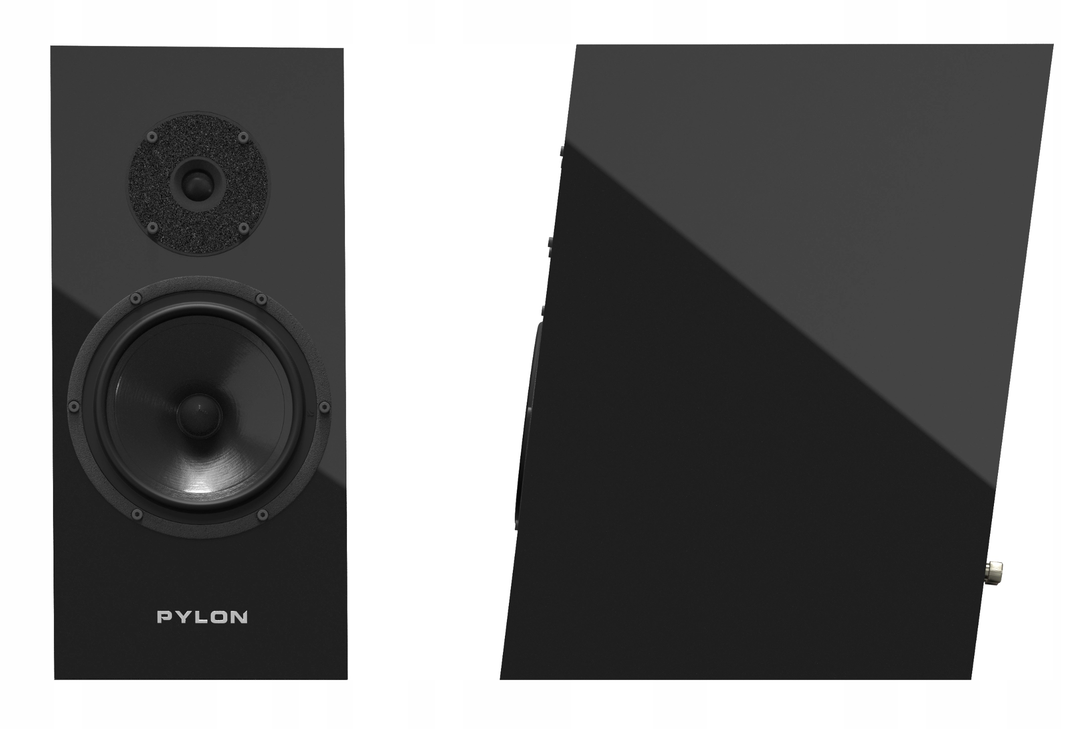 Pylon Audio Diamond Monitor 18 mkII (Lakier Mat Čierny) pár