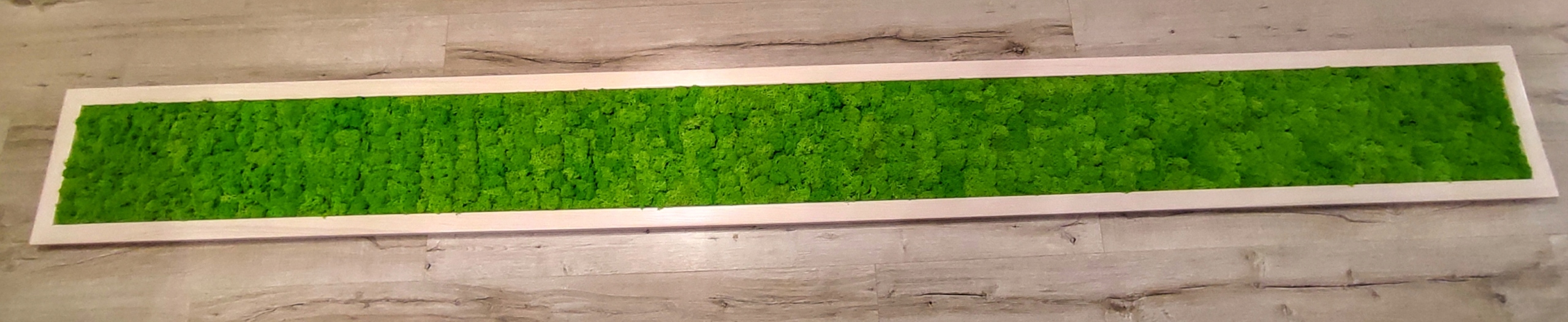 Panel Ścienny Rama - Mech Chrobotek Rodzaj mech chrobotek