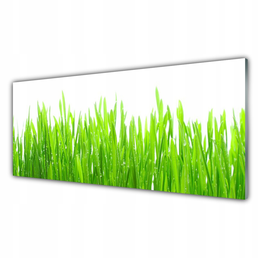 

Obraz akryl z grafiką 125x50 Trawa Roślina Natura