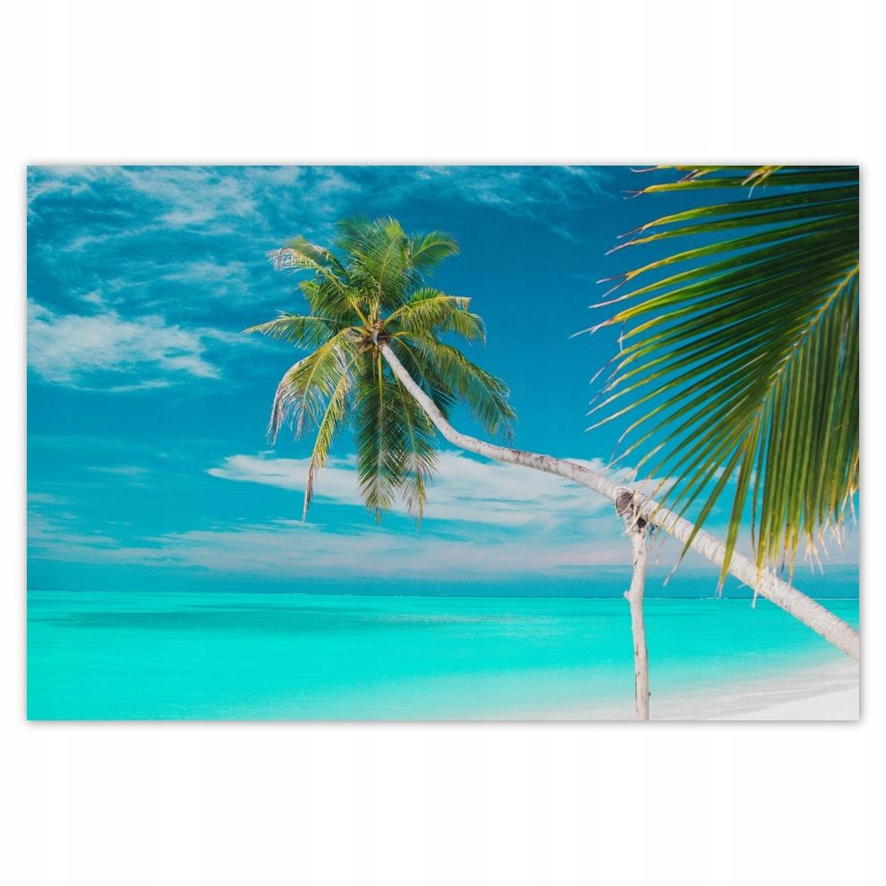 

Plakaty 60x40 Pejzaż Krajobraz Widoczek