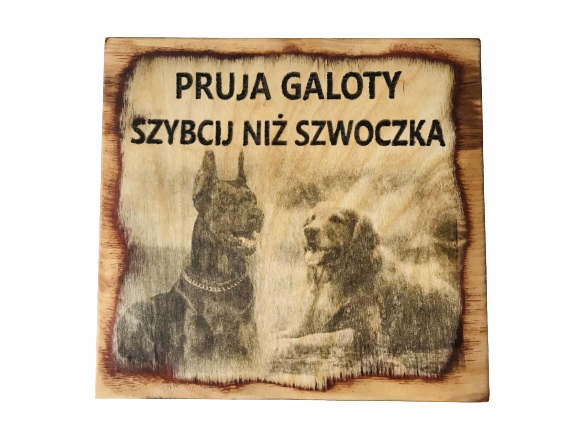 Levně Informační tabulka Dřevěný Obrázek Pies Kot