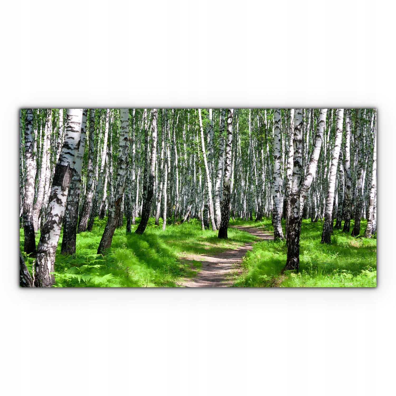 

Canvas na ramie ścienny 140x70 Ścieżka Las Drzewa