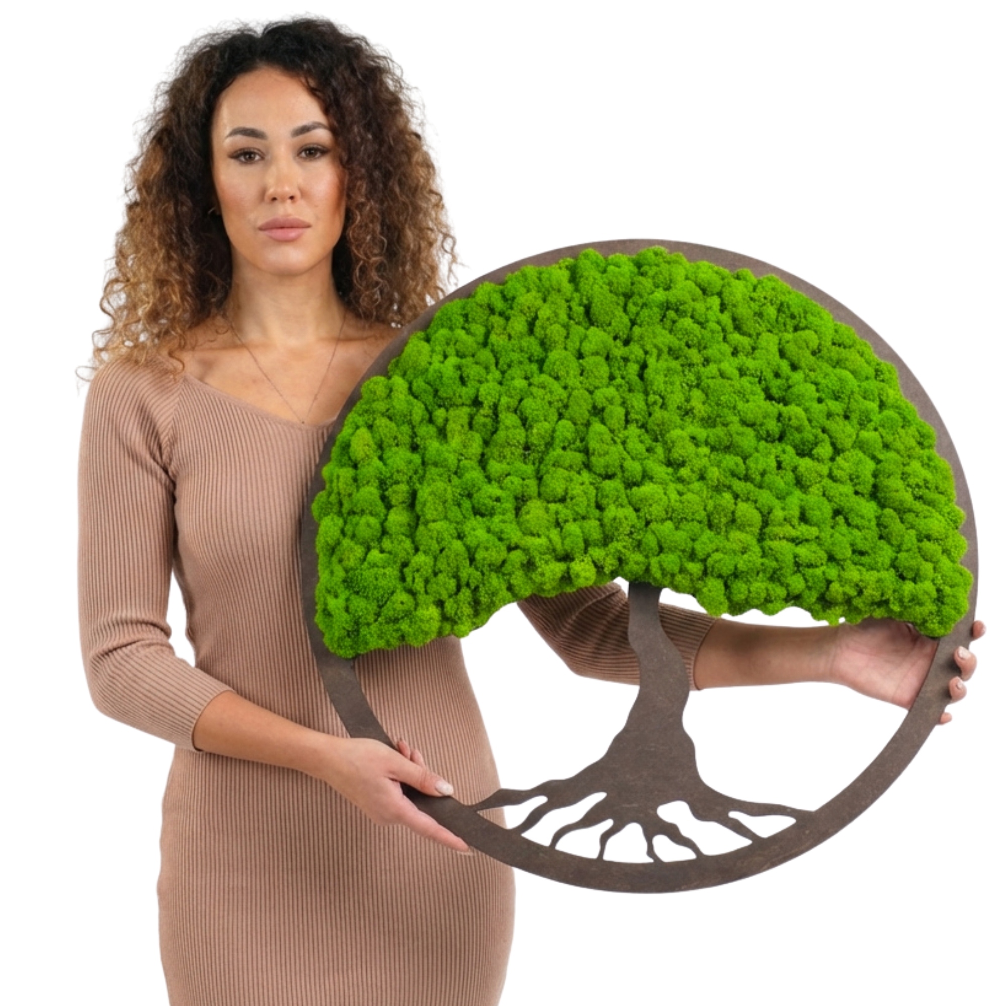 Obraz Z Mechu strom štěstí Mech Chrobotek živý Obraz v dřevěném rámu