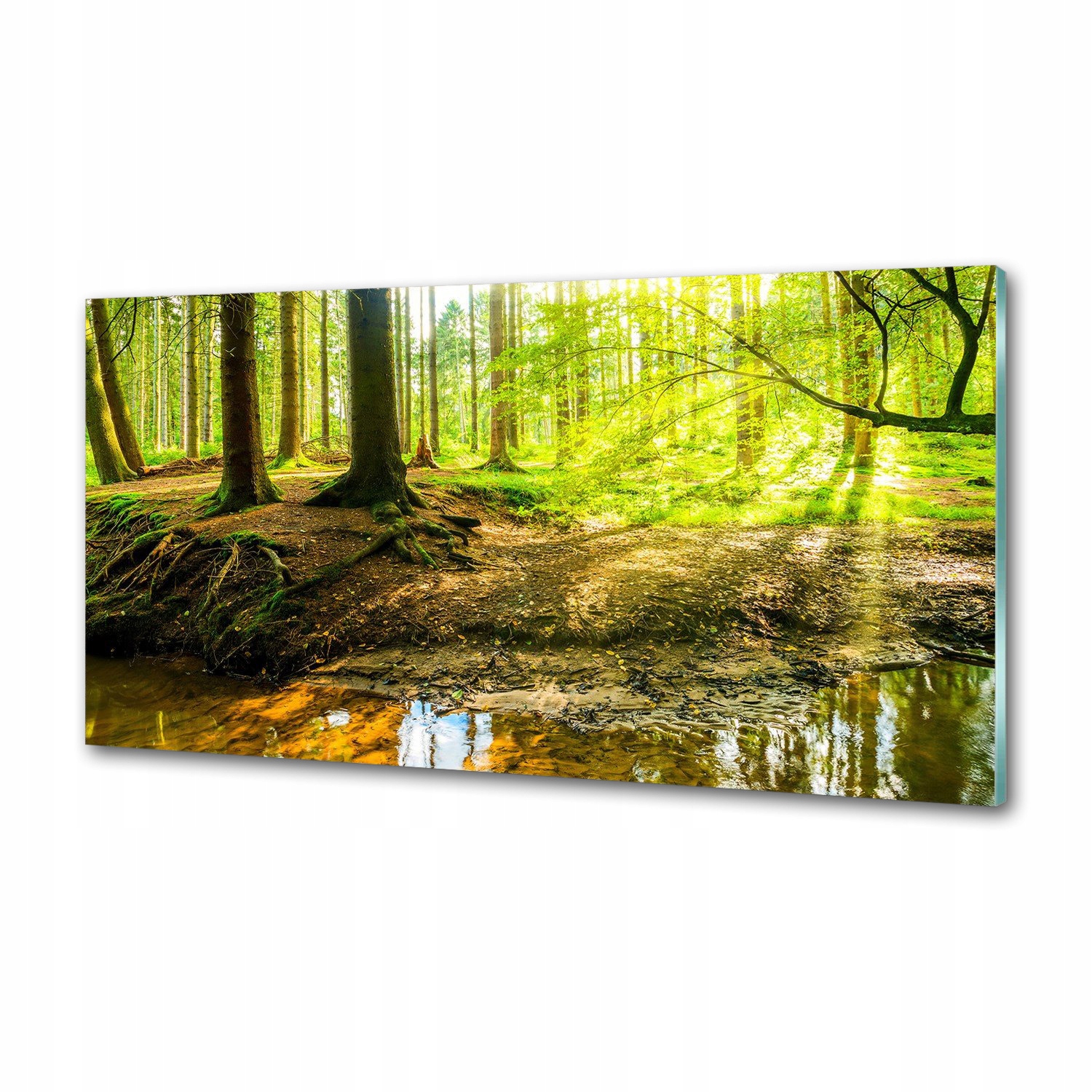 Panel do kuchyně Paprsky slunce les 120x60 Lepidlo
