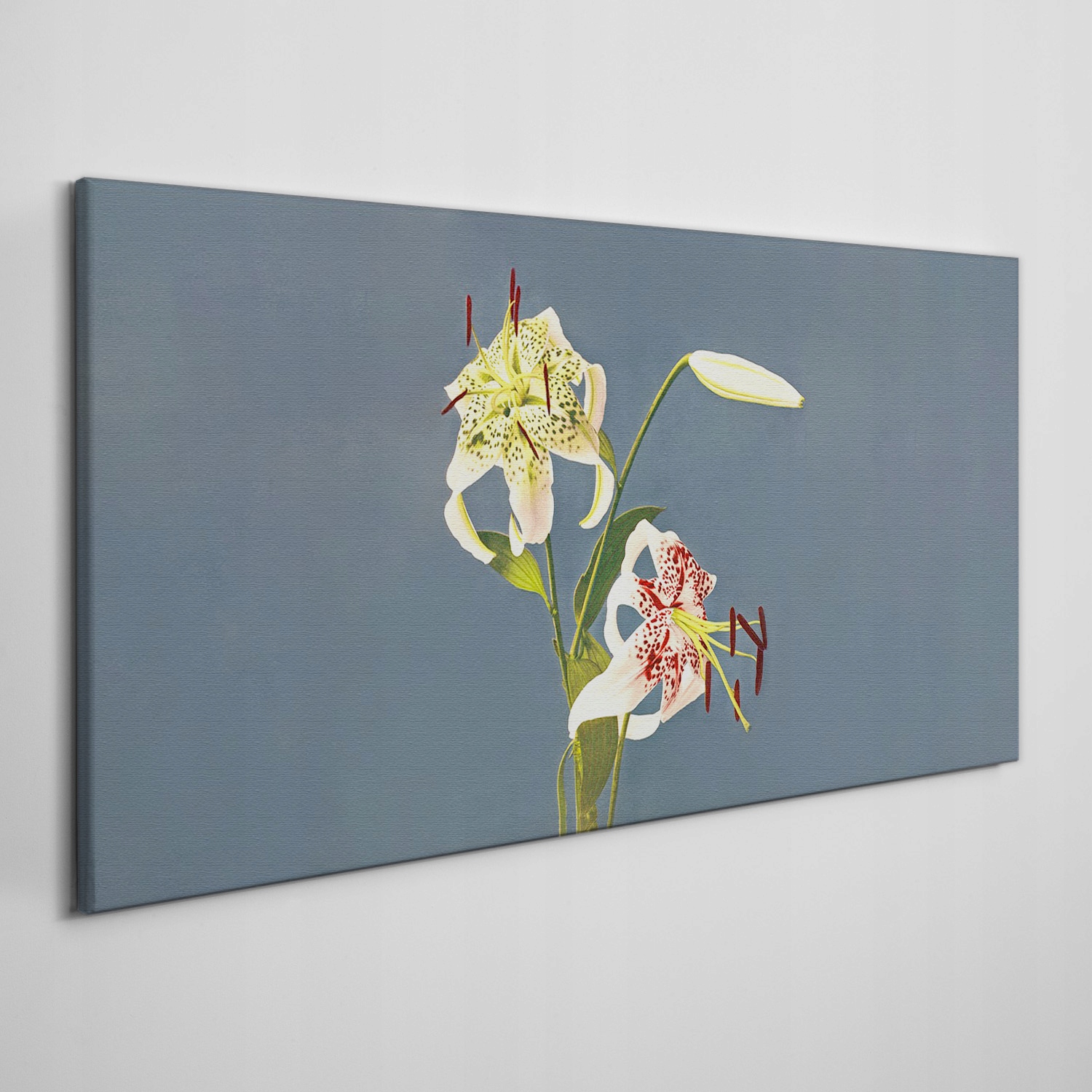 

Obraz ścienny na płótnie Kwiaty rośliny 120x60 cm