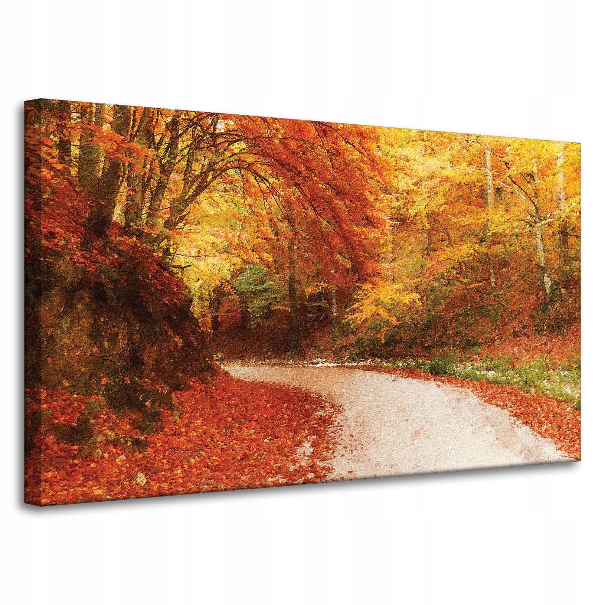 Obraz na plátně Stezka v Podzimním lese Barevné listy 100x60 cm