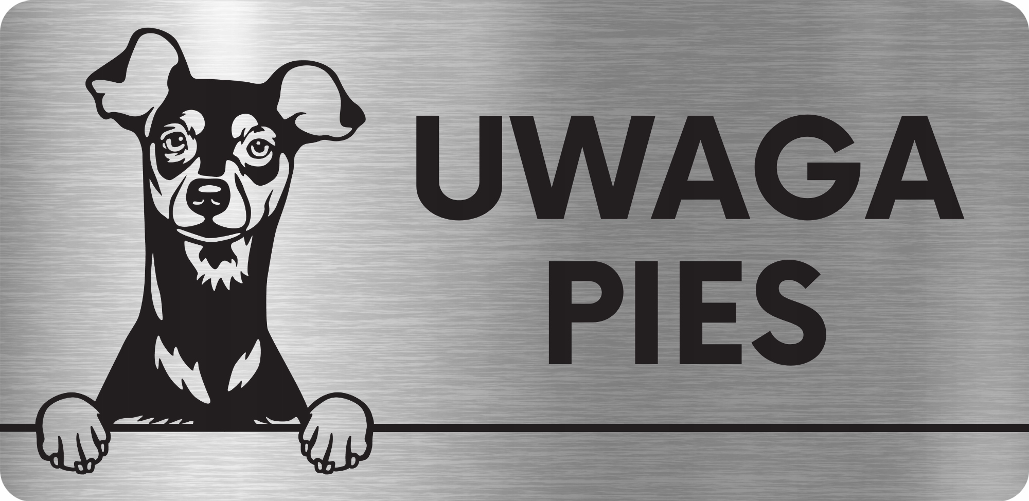 TABLICZKA UWAGA ZŁY GROŹNY PIES Pinczer miniaturow TABLICZKA UWAGA ZŁY PIES Tematyka inna
