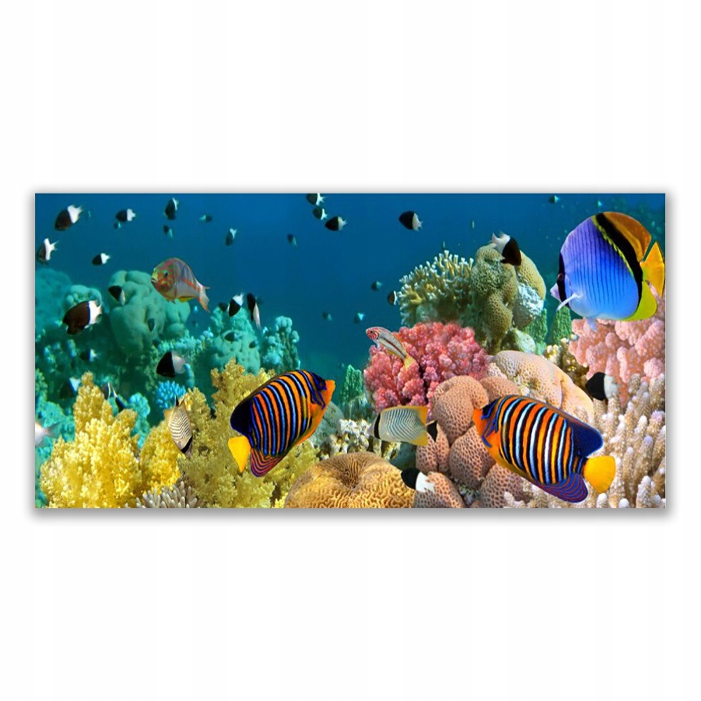 

Fotoobraz nowoczesny 120x60 Rafa Koralowa Natura