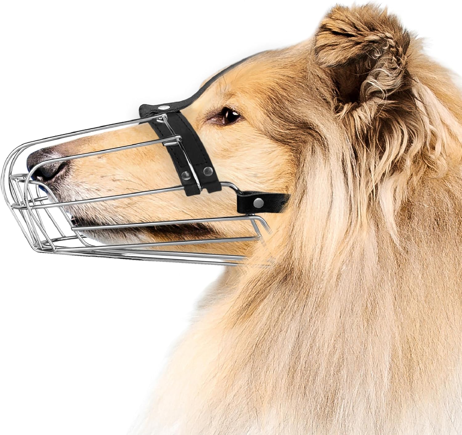 Levně Kovový náhubek s koženými řemínky pro Greyhound a Collie Bronzedog