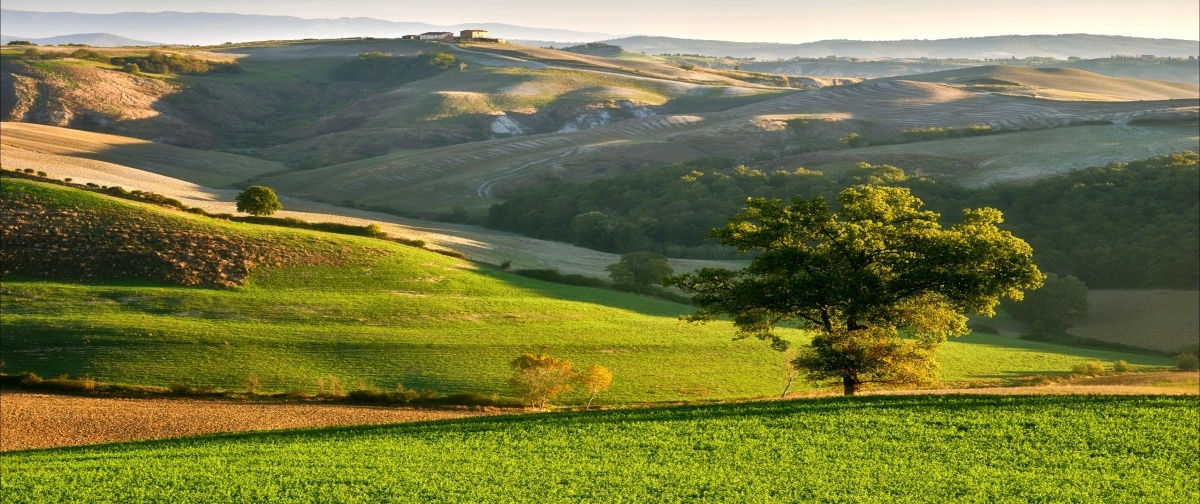 

Tapeta flizelinowa Toskania 250x104