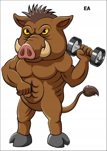 

PK16EA Tatuaż tymczasowy Dzik motywacyjny siłownia