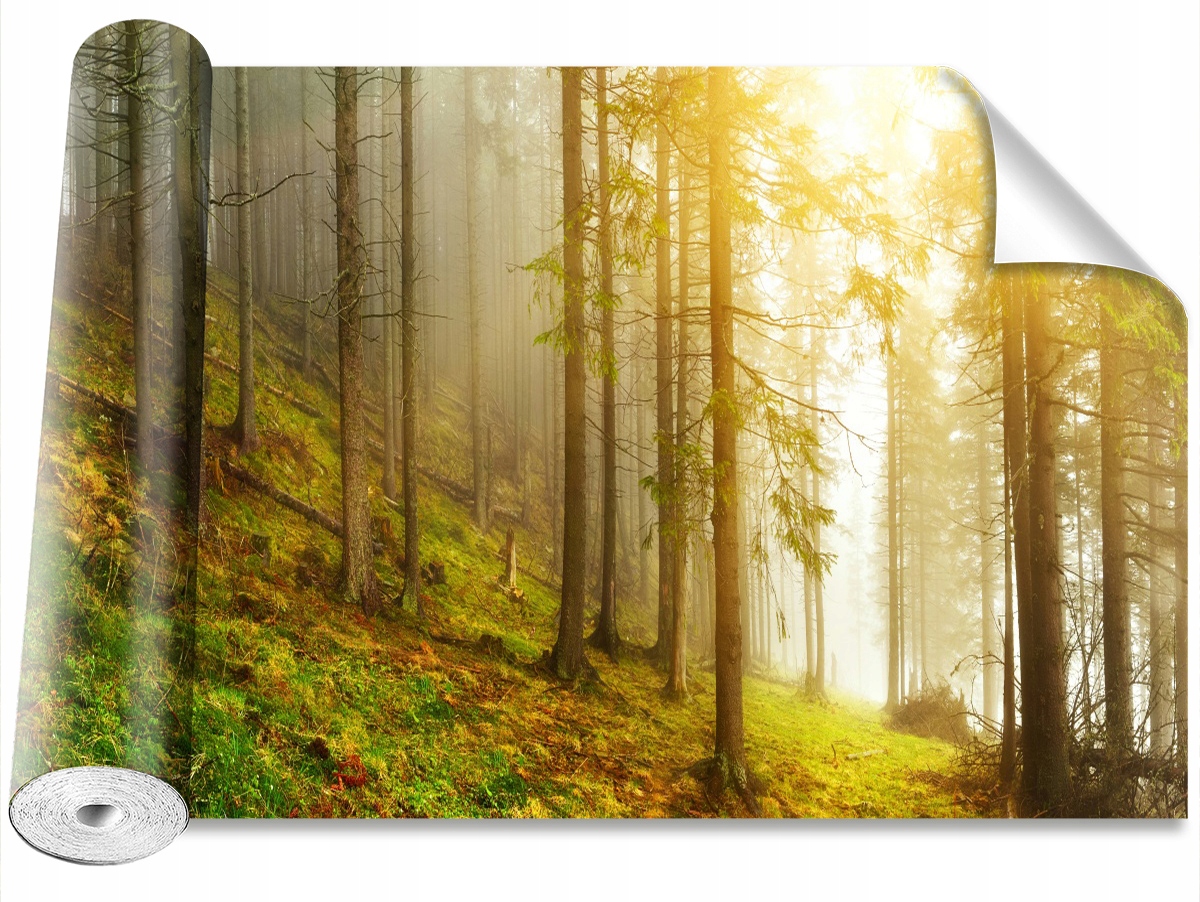 

Tapeta Samoprzylepna MagicStick Las 104x70