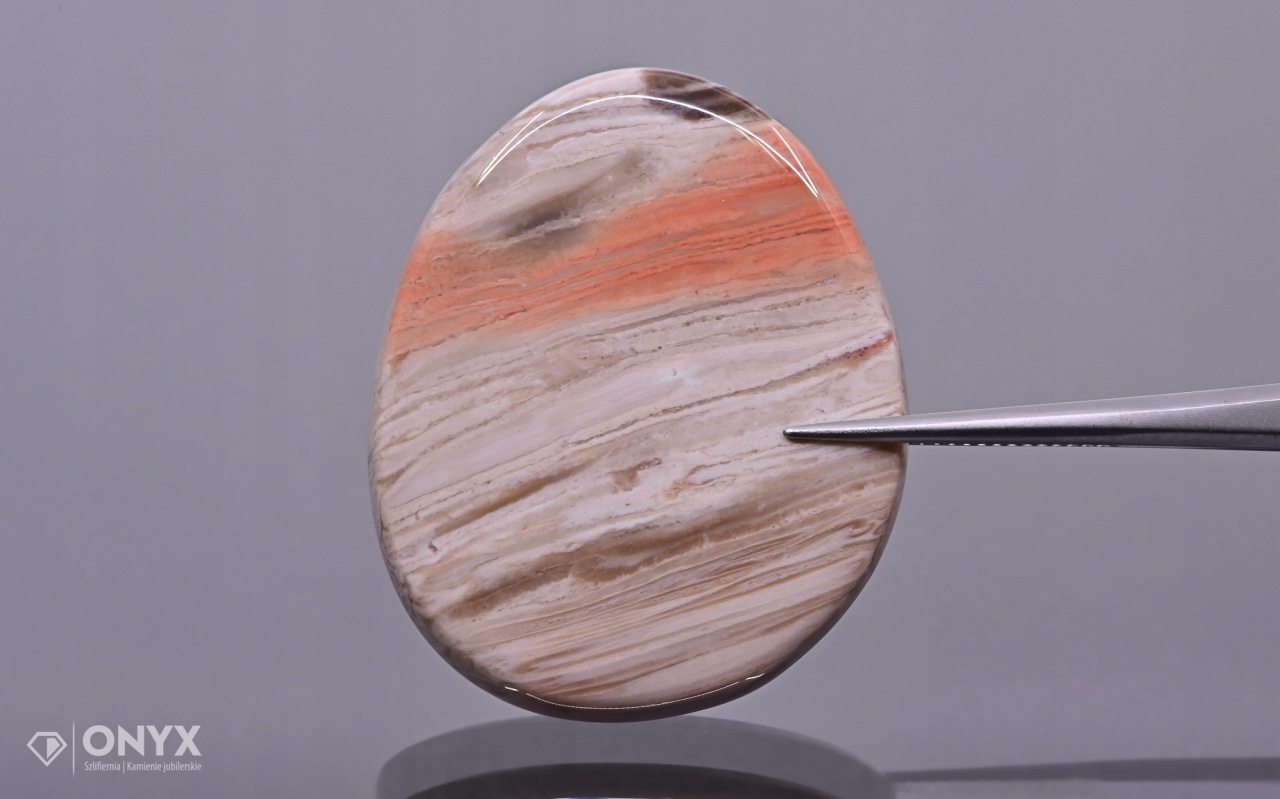 Zkamenělá palma konvexní nepravidelná dlažba 37x31 mm