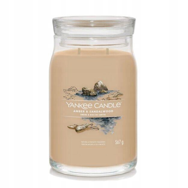 Yankee Candle Amber & Sandalwood Velká sójová svíčka se dvěma knoty 567 g