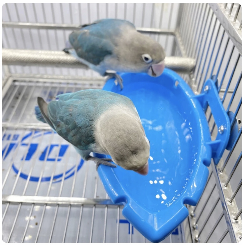 Levně Skvělý bazének pro všechny druhy papoušků