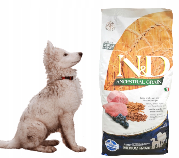 Nd Ancestral Grain Chicken Medium Maxi Adult 12kg