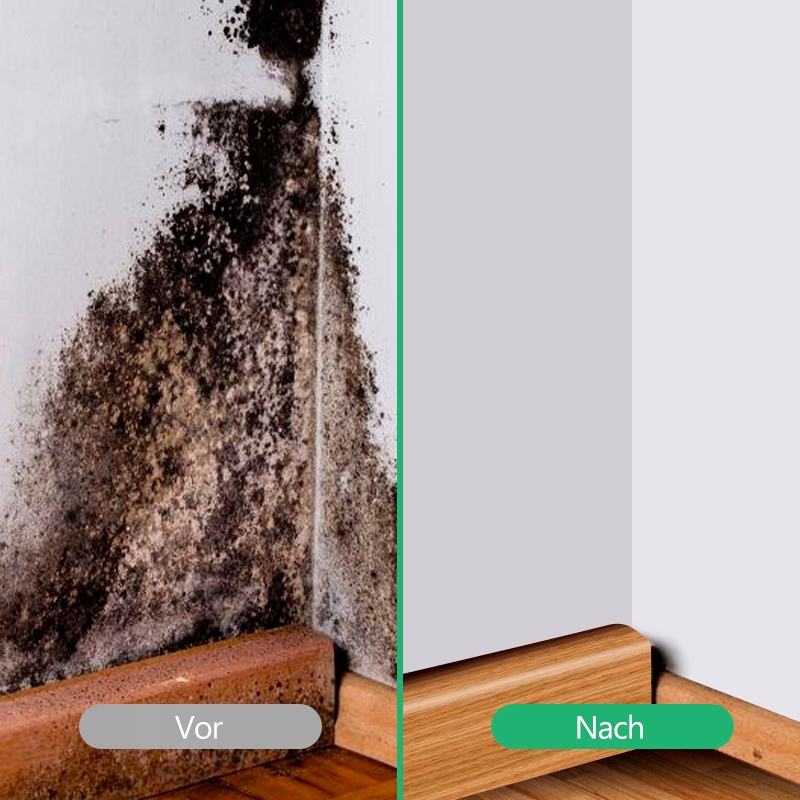 80dc2fdb4455822dd937b96b6f50