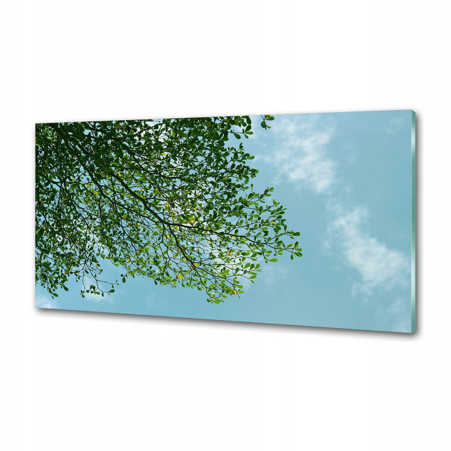 Panel do kuchyne Listy na oblohe 120 x 60 cm Lepidlo