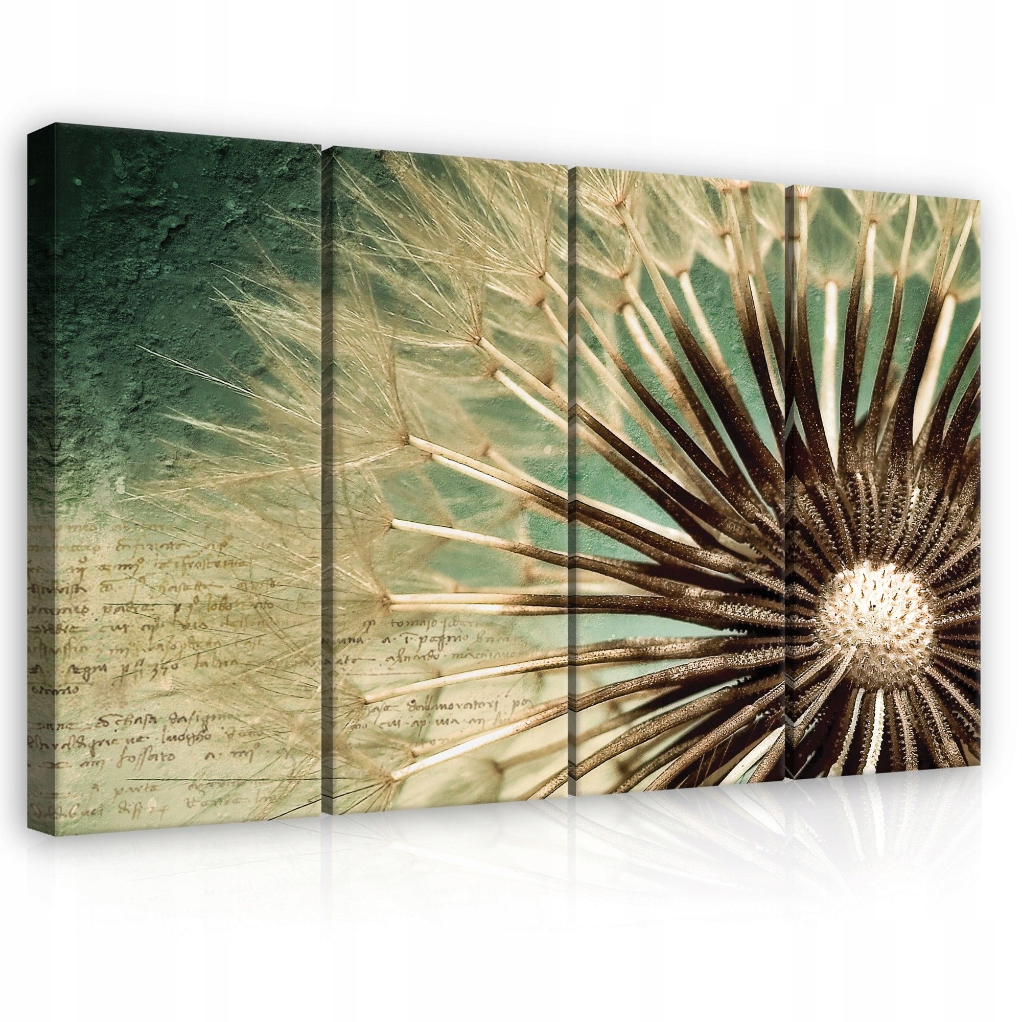 Obraz 120x80 Púpava lekárska makro semená príroda ľahkosť pokoj spánok