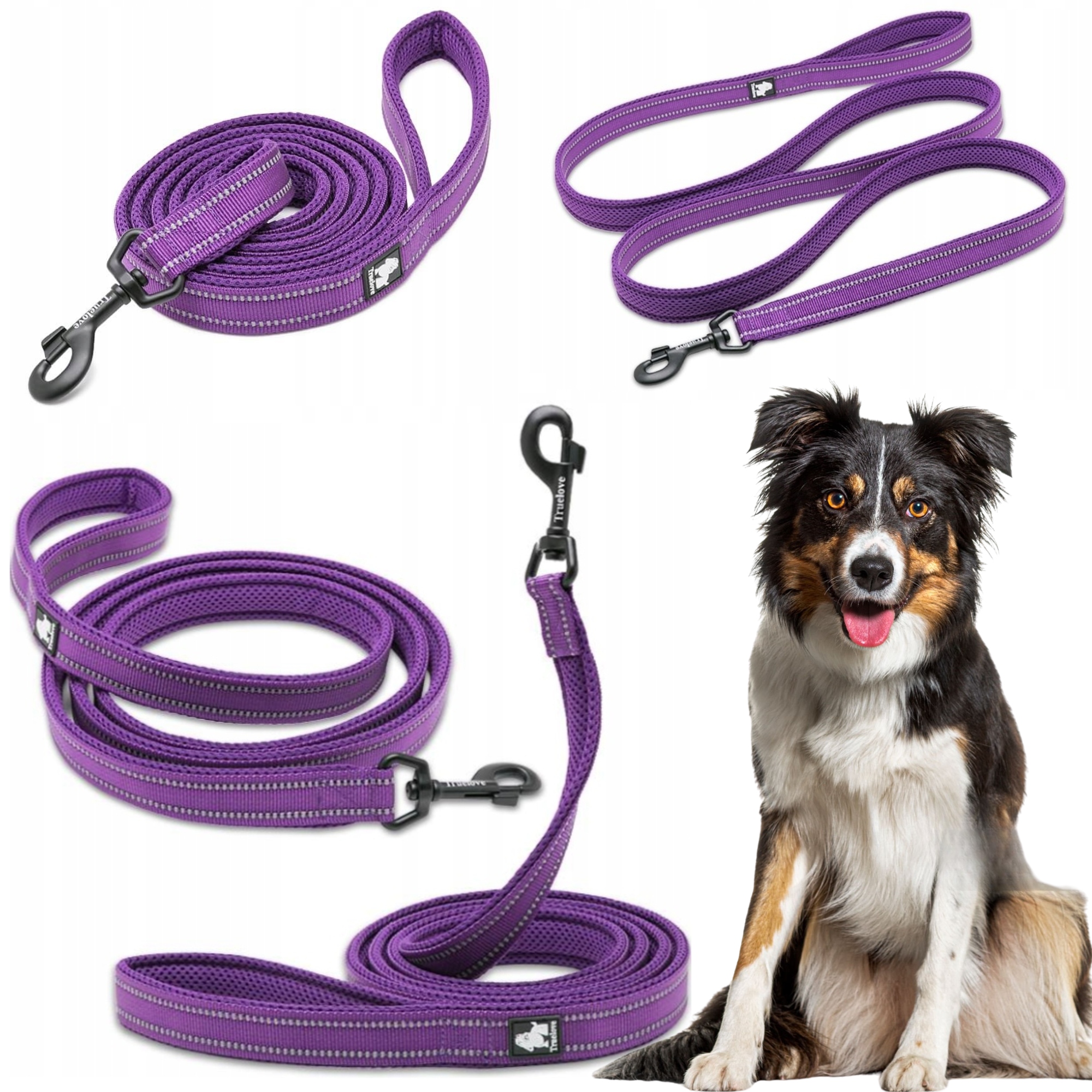 Levně Vodítko Pro Psa Reflexní Silná Truelove Active Fialová 200 CM Velikost M