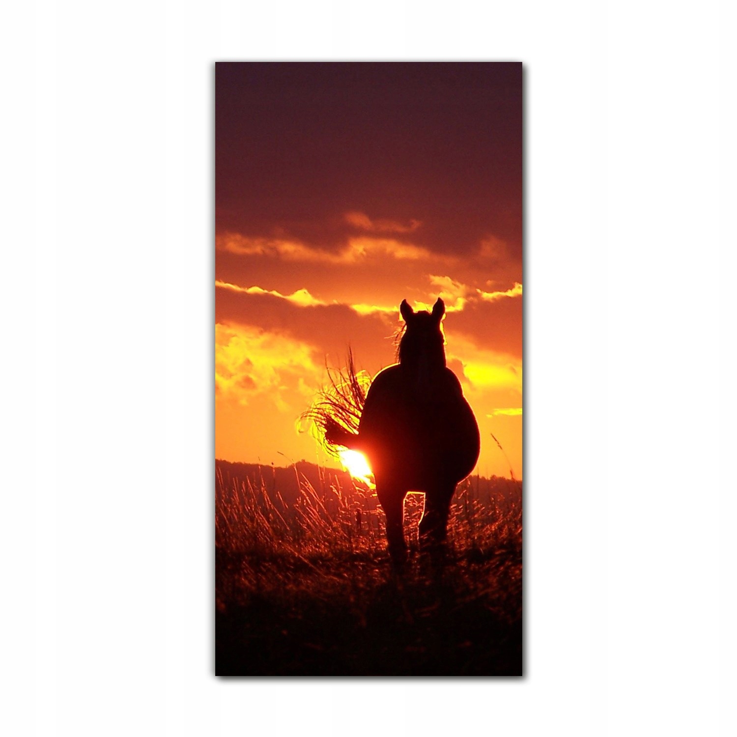 

Foto szklane do kuchni 70x140 cm Łąka natura koń