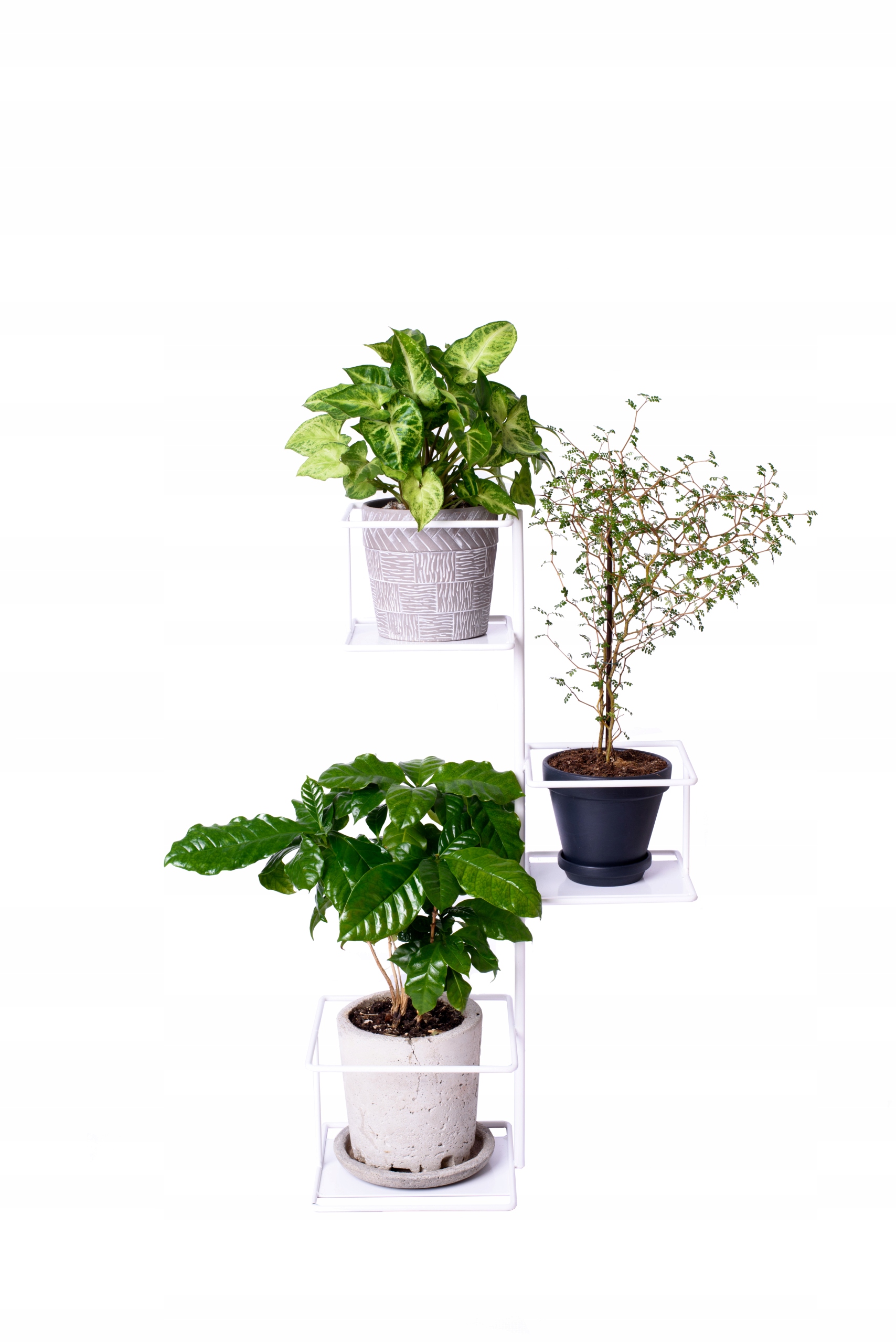 Držiak Na Kvetináč Džungľa kovový stojan na umiestnenie na parapete komody, biely