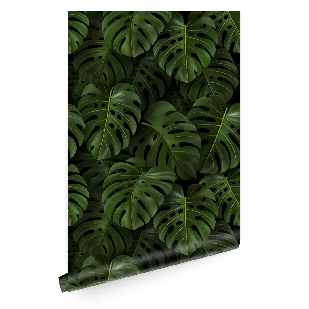 

Tapeta liście monstera dżungla T0251