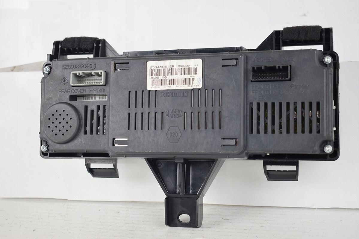 frame display RENAULT SCENIC III 250450012R
