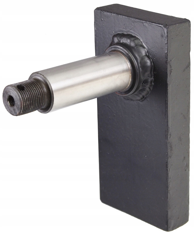 Płyta ze sworzniem DV 1733