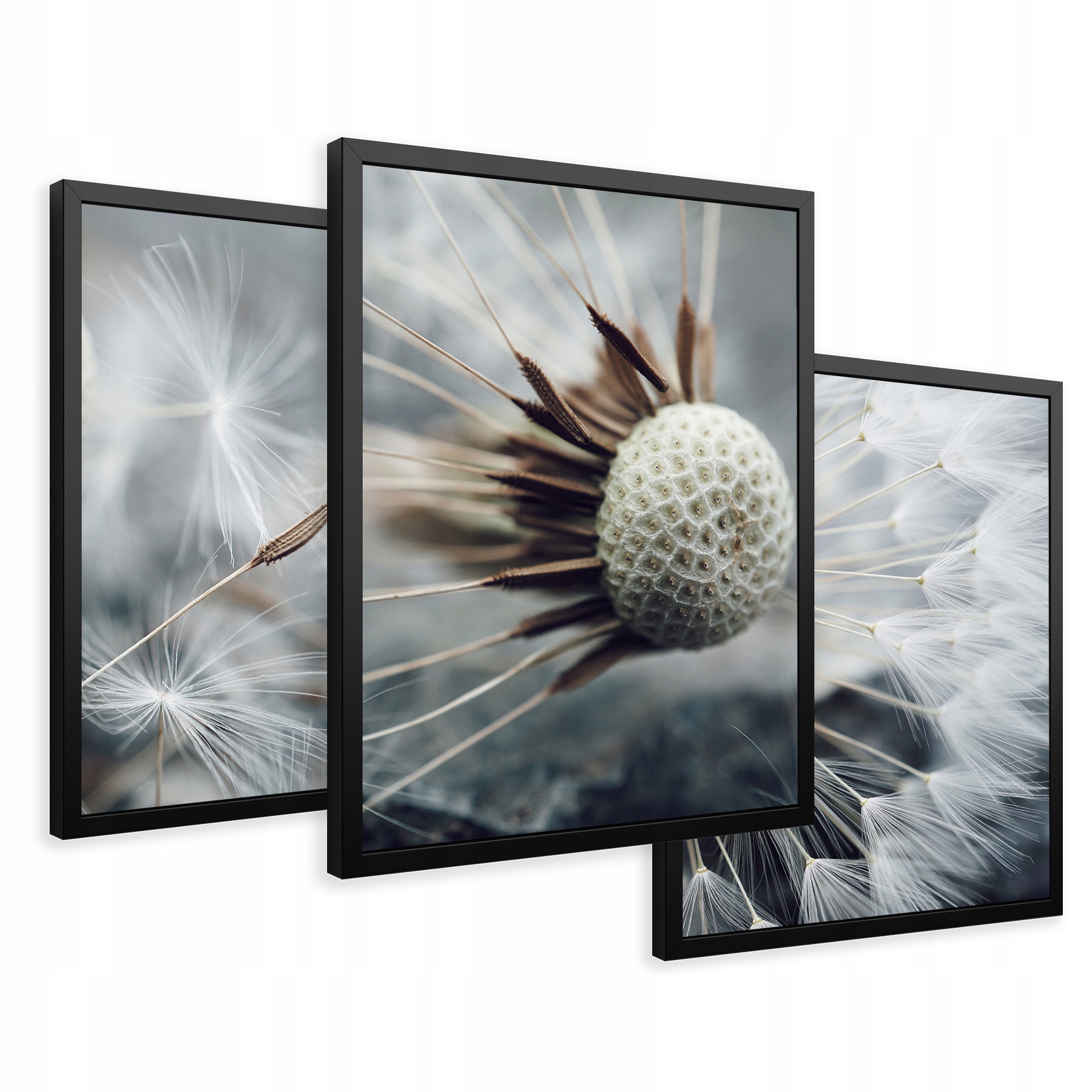 

Obrazy w ramie dmuchawce makro natura kwiaty 43x99