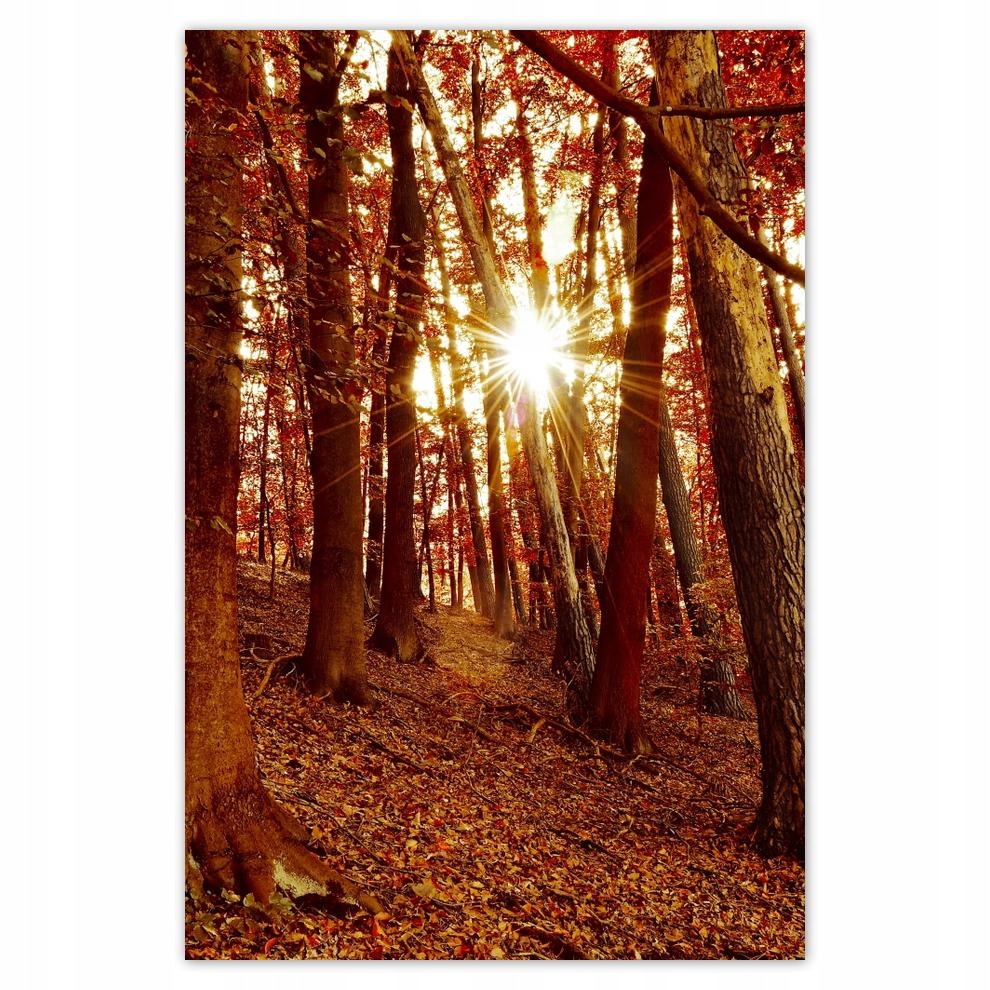 

Plakaty 40x60 Pejzaż Krajobraz Widoczek