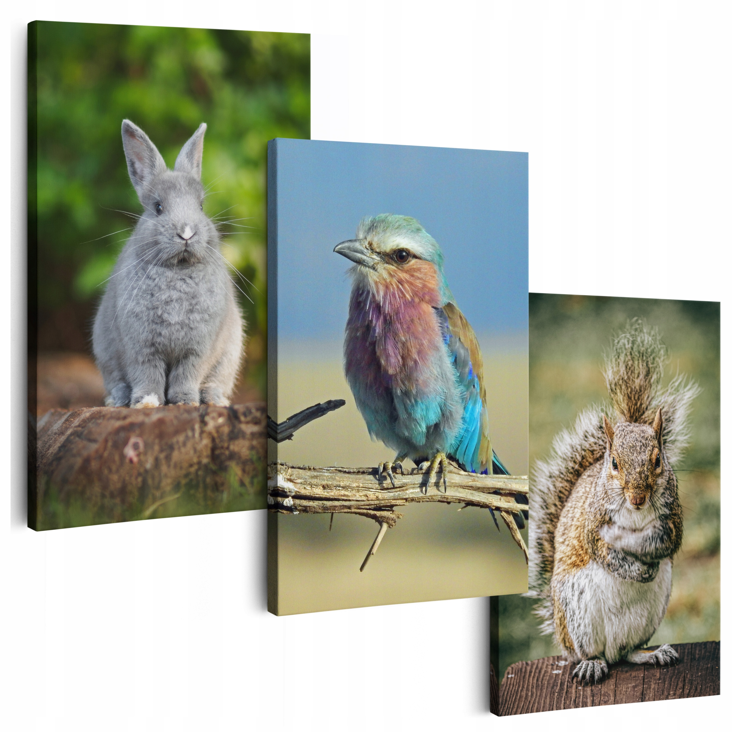 Obraz Na Plátne 180 cm **veľa vzorov** Obrazy Do Obývačky Triptyk Kvety