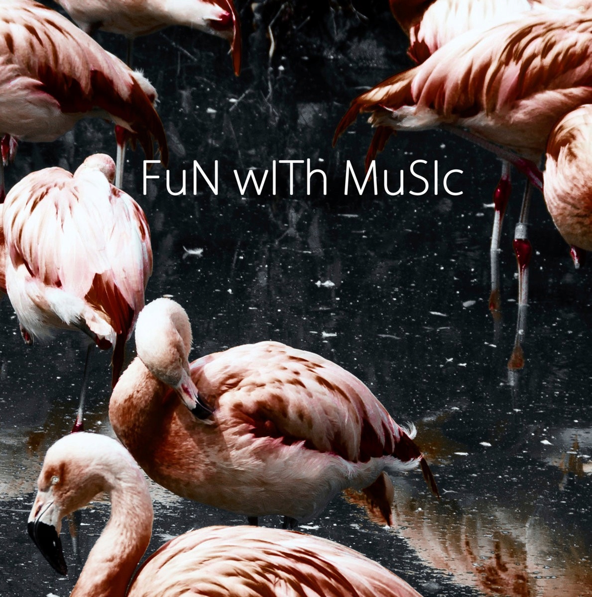 a.P.A.t.T. Fun With Music (CD)