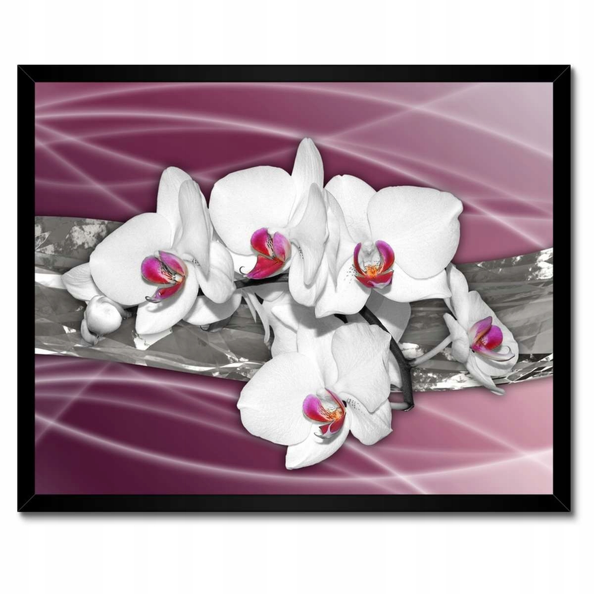 Plakáty v rámu 50x40 Bílé orchideje na růžovém pozadí