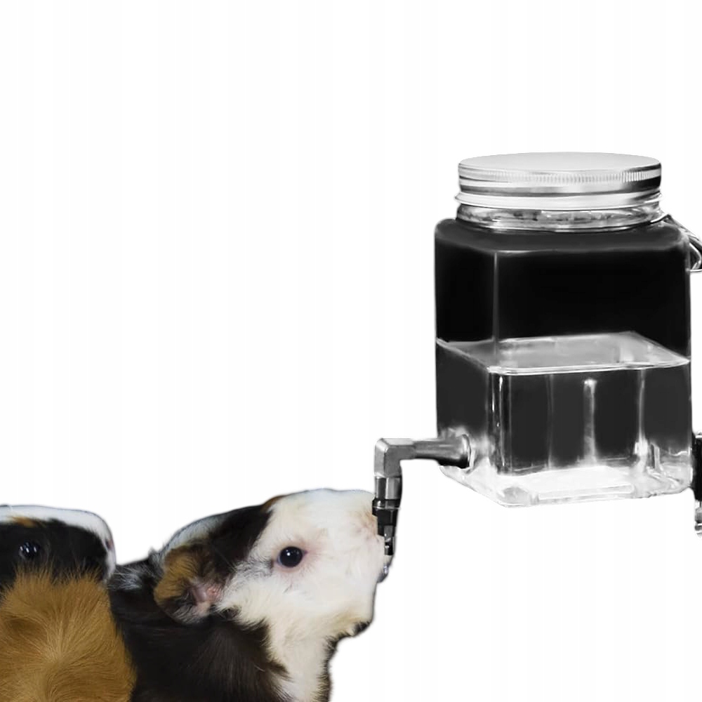 GuineaLoft láhev na vodu bez kapání Pro Morče Průhledná