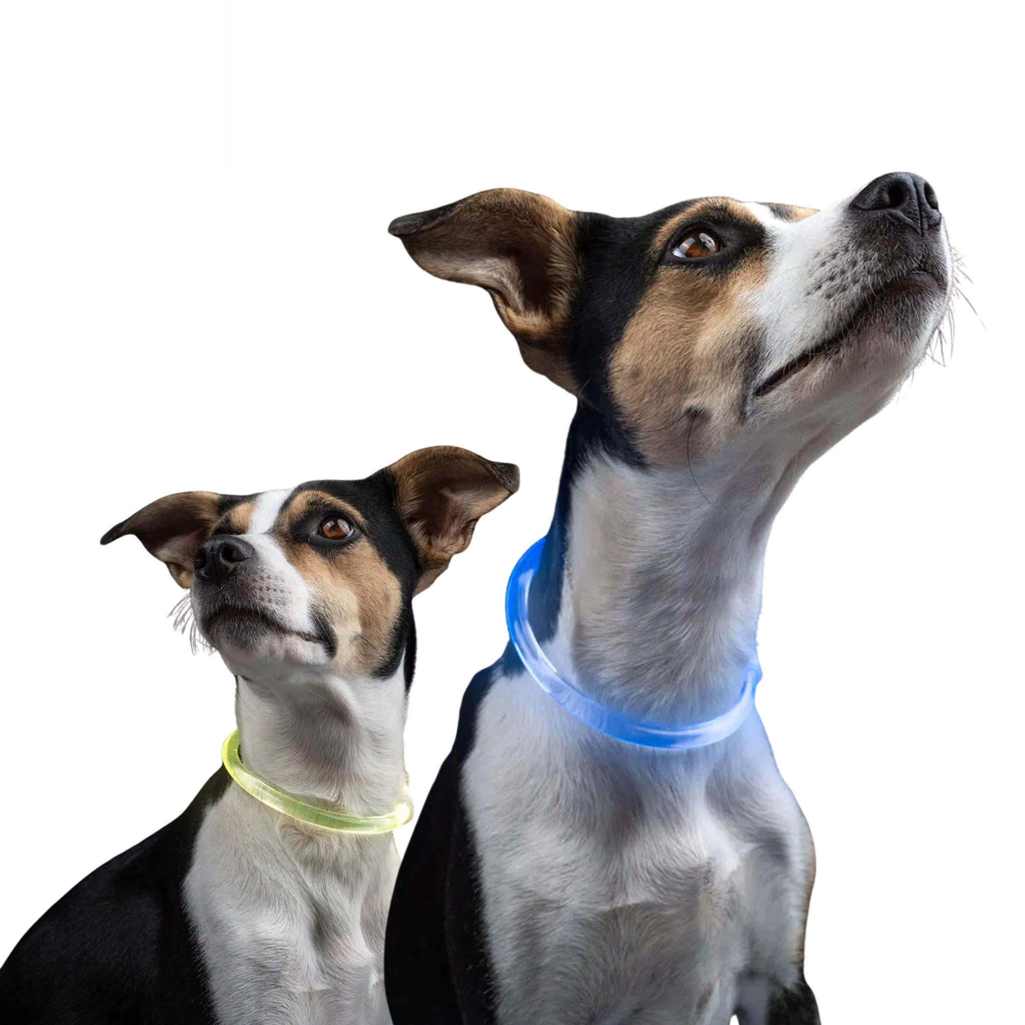 Levně Univerzální svítící obojek Lumina Xpro, vícebarevný