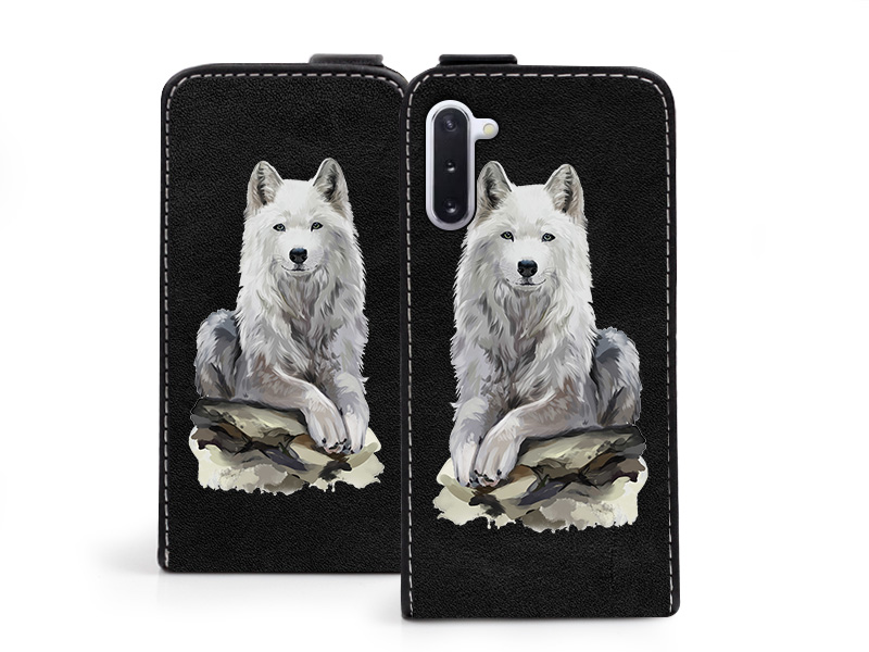 

Etui na Samsung Galaxy Note 10 Flip Fantastic Case