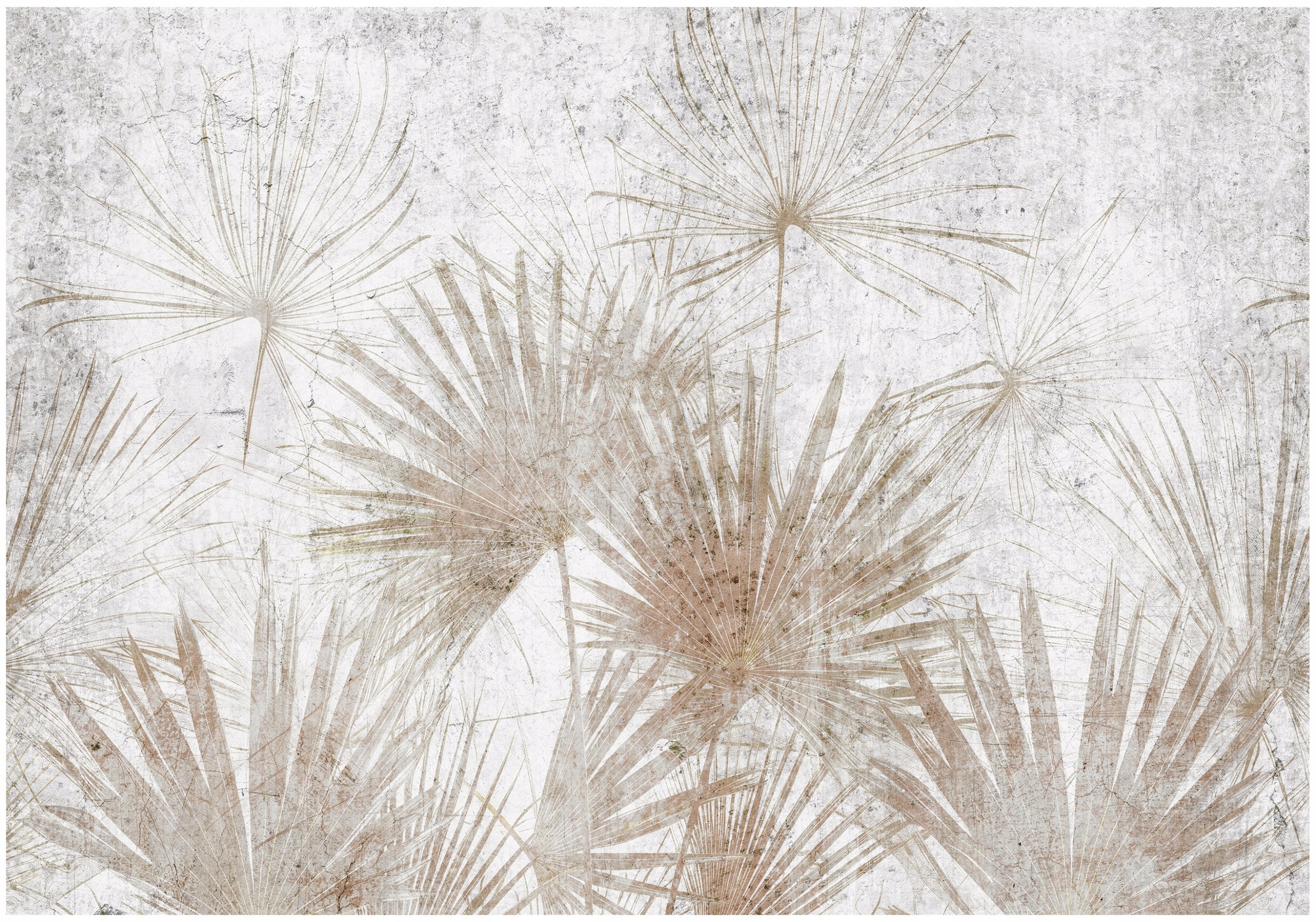 Fototapeta Liście Na Betonie Do Sypialni Salonu Tapeta Flizelina 400x280