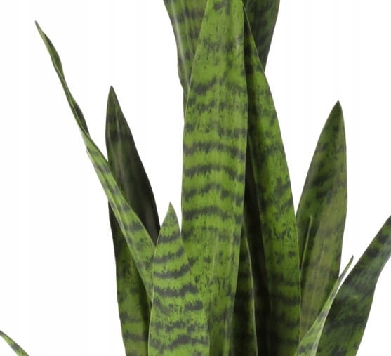 KWIAT W DONICZCE SANSEWIERIA 92 CM Kod producenta 320000600