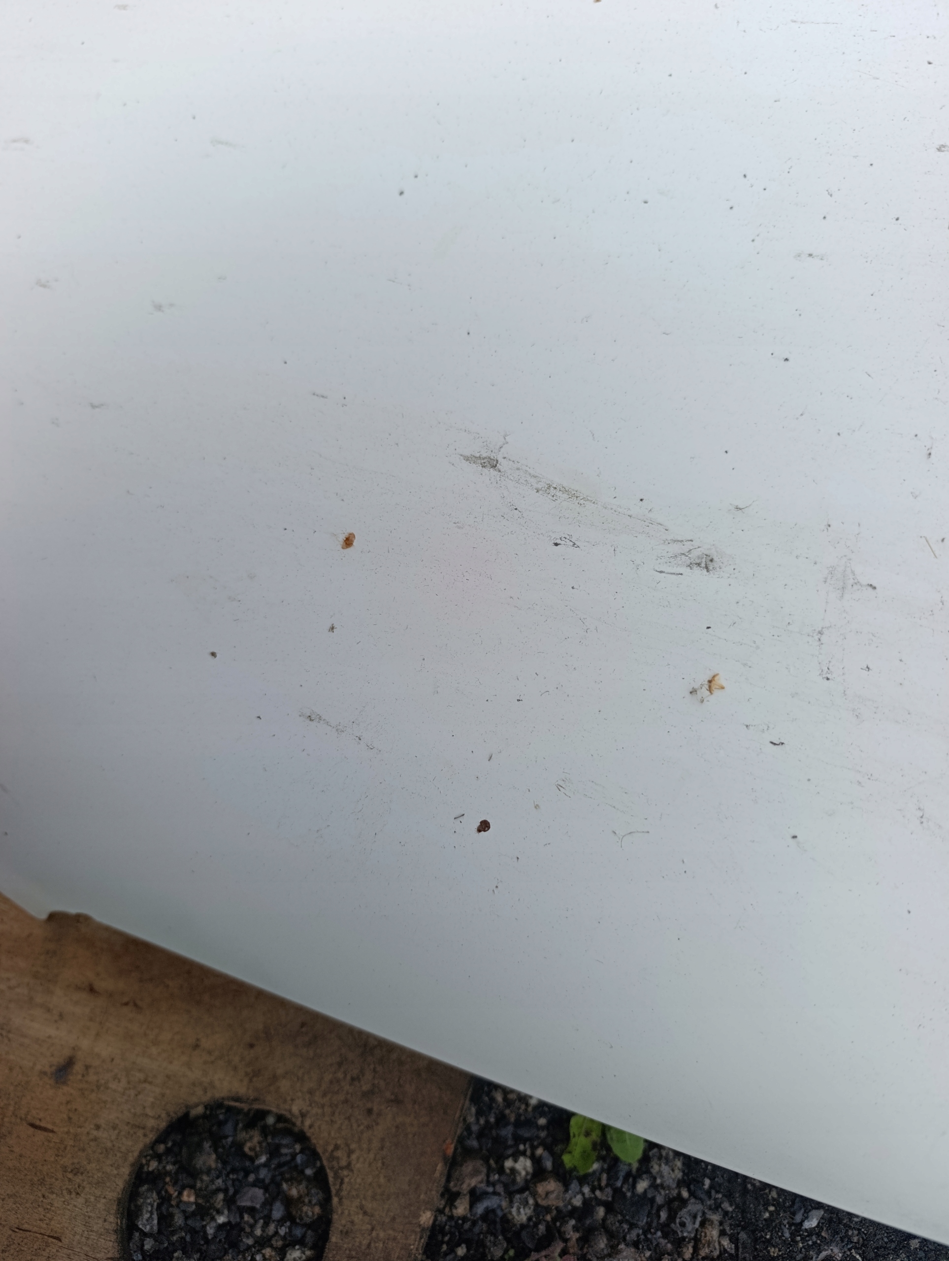 VW T5 bonnet biala