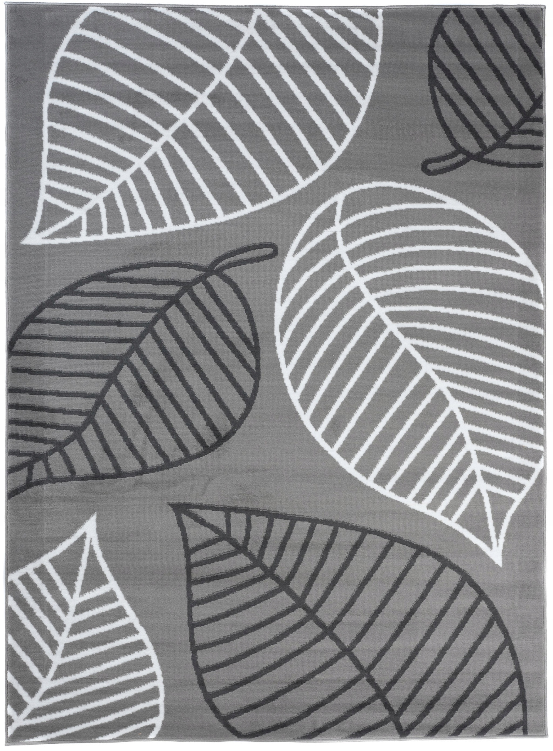 

Dywan Canvas 250x300 Bcf Modny Nowoczesny x45