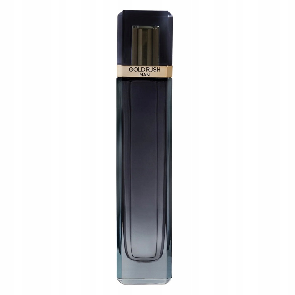 Paris Hilton Gold Rush Man toaletní voda sprej 100 ml, orientálně-fialová barva