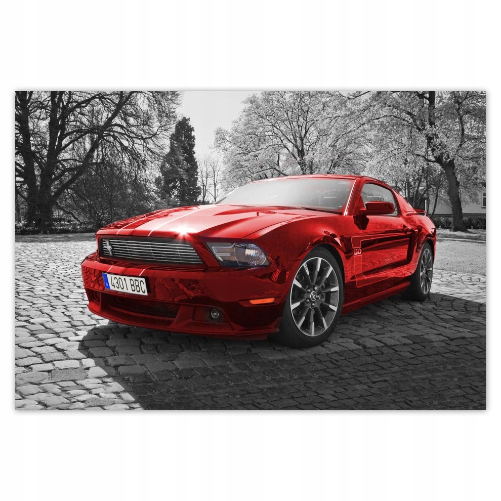 

Naklejki 155x105 Czerwony Mustang