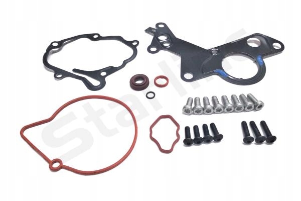 KOMPLET USZCZELEK VACUM POMPY VAG / FORD SZT STARLINE